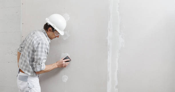 Best Real Estate Mold Inspection  in USA